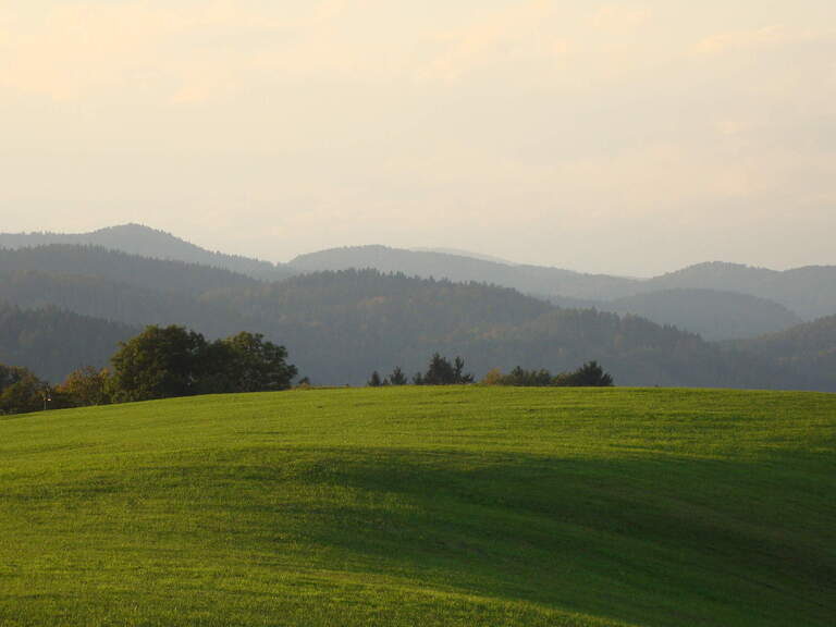 Eine grüne hügelige Landschaft